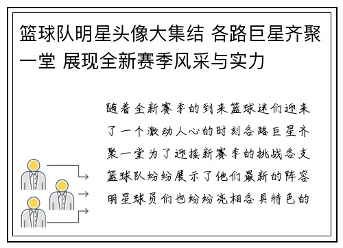 篮球队明星头像大集结 各路巨星齐聚一堂 展现全新赛季风采与实力